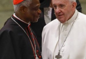 Read more about the article I didn’t resign – Cardinal Turkson clarifies