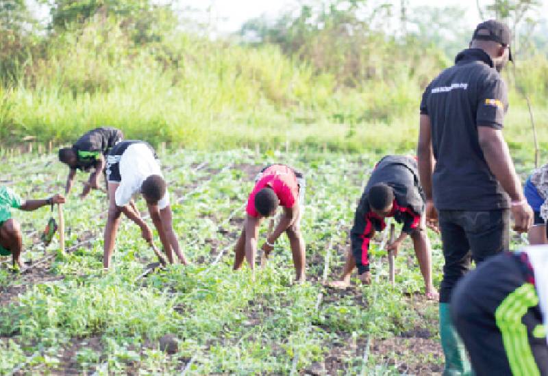 Read more about the article Poor roads in Ashanti Region making farming less appealing to the youth
