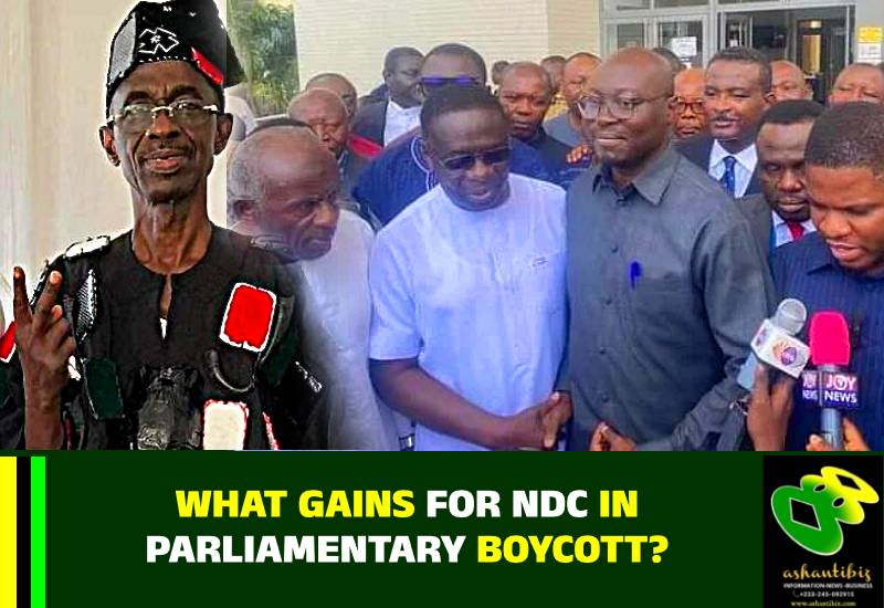 You are currently viewing What Gains for NDC in Parliamentary Boycott?