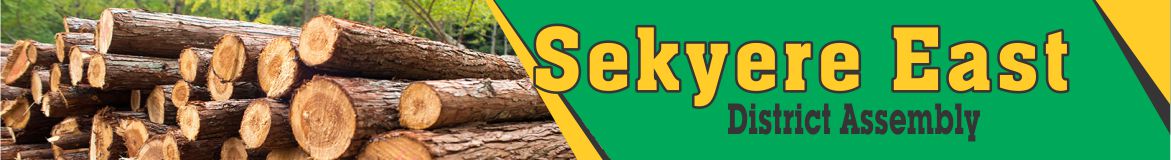 You are currently viewing Sekyere East District