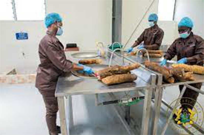 You are currently viewing President commissions GH¢10M yam and cassava processing factory in Krachi East