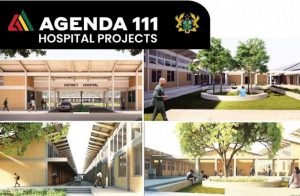 Read more about the article ‘We are ready to support Agenda 111 hospital in Afadzato South’ – Togbe Akoto