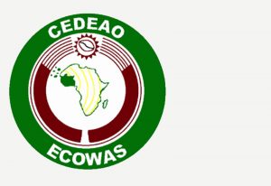 Read more about the article ECOWAS Mission urges stakeholders to support Mali’s transition process