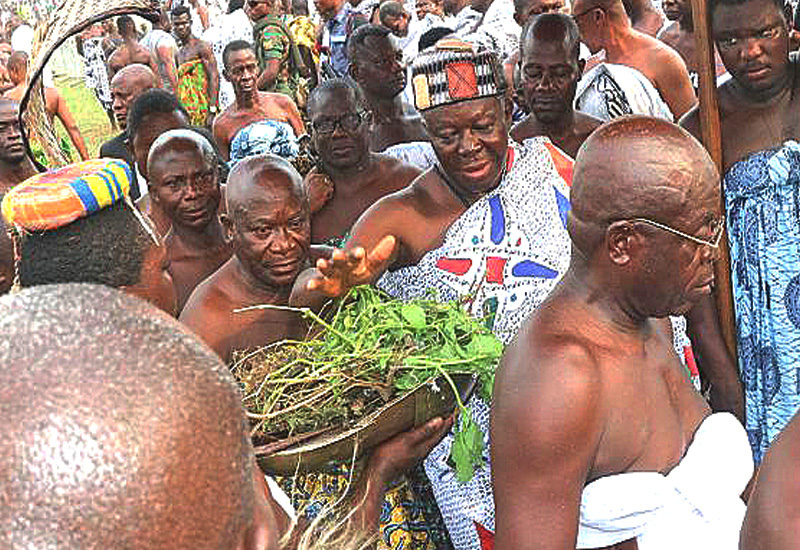 You are currently viewing Powerful herbs that protect traditional rulers in Public gatherings