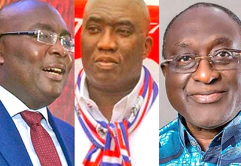 You are currently viewing NPP bans all activities associated with its internal party elections