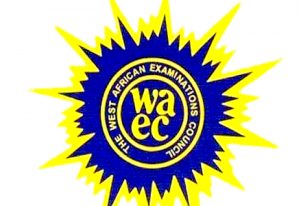 Read more about the article WAEC apologises for technical challenges in checking results