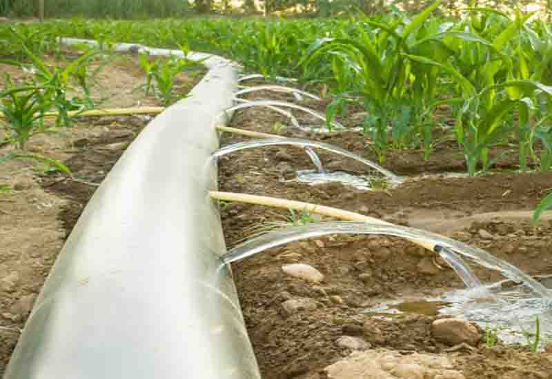 You are currently viewing Irrigation can boost food security