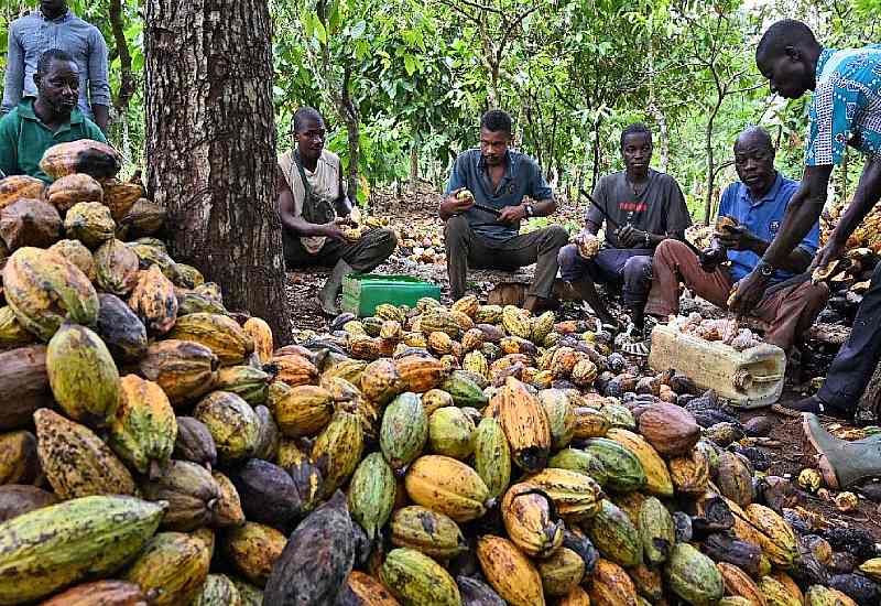 You are currently viewing Stakeholders Urged To Leverage On Growing Interest In Cocoa Products