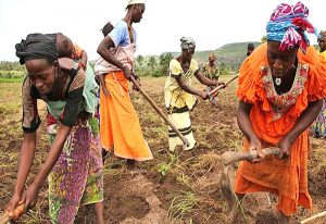 Read more about the article IWD 2022: Changing climate conditions deepening women’s vulnerability