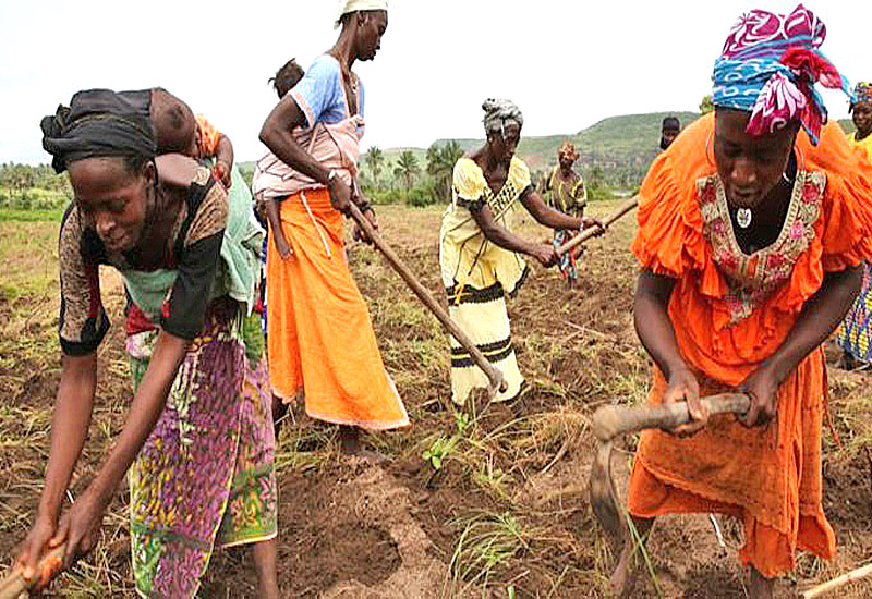 You are currently viewing IWD 2022: Changing climate conditions deepening women’s vulnerability