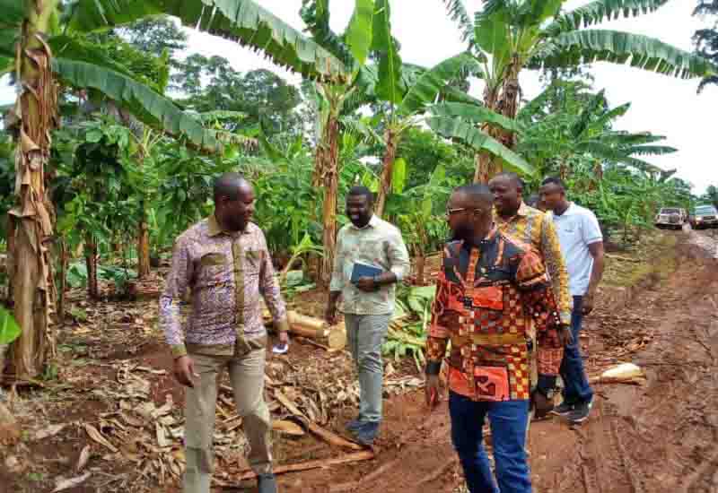 You are currently viewing Nigeria considers joining Ghana, Cote D’Ivoire to implement LID for cocoa farmers