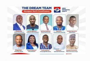 Read more about the article Akropong NPP: Candidates from MP’s camp suffer defeat in delayed elections