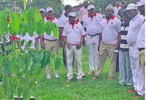 Read more about the article Green Ghana Day: Asantehene leads tree planting project in Kumasi