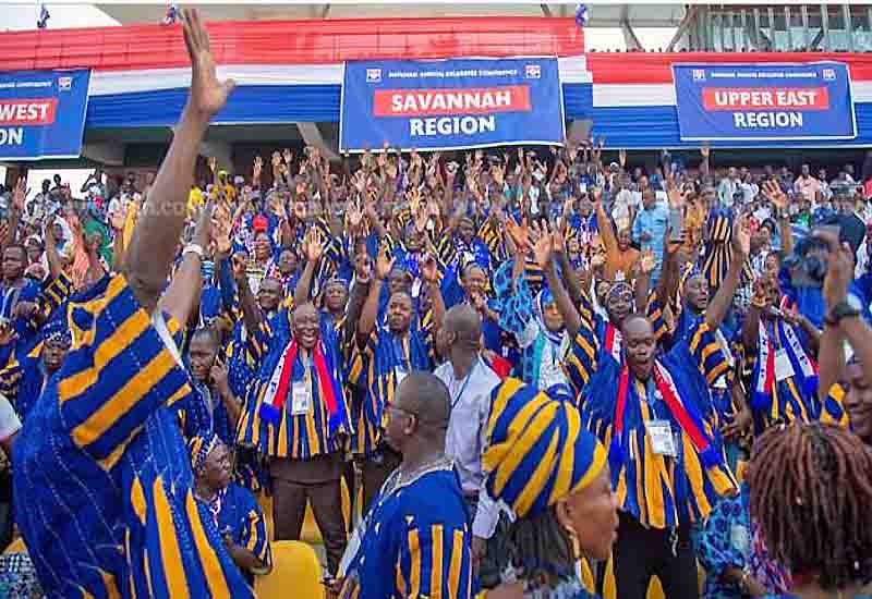 You are currently viewing NPP Savannah Region delegates boost tourism at Elections