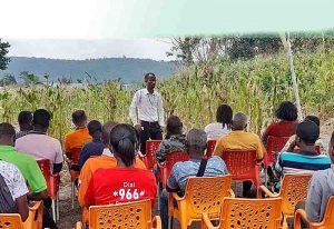 Read more about the article Otareso farmers introduced to new maize seed variety