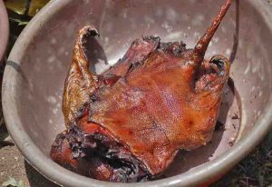 Read more about the article Bushmeat in Kumasi: consumer profiles may point the way to conversation