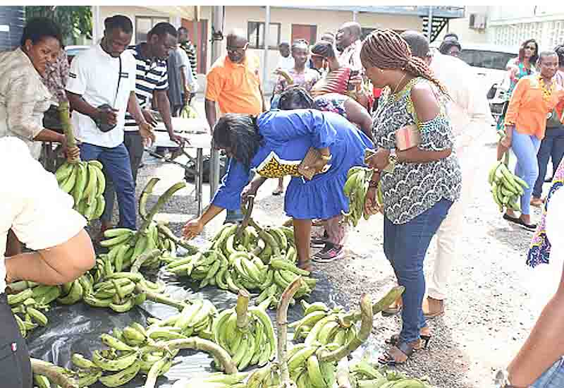 You are currently viewing Ghanaians scramble for affordable foodstuff at MoFA