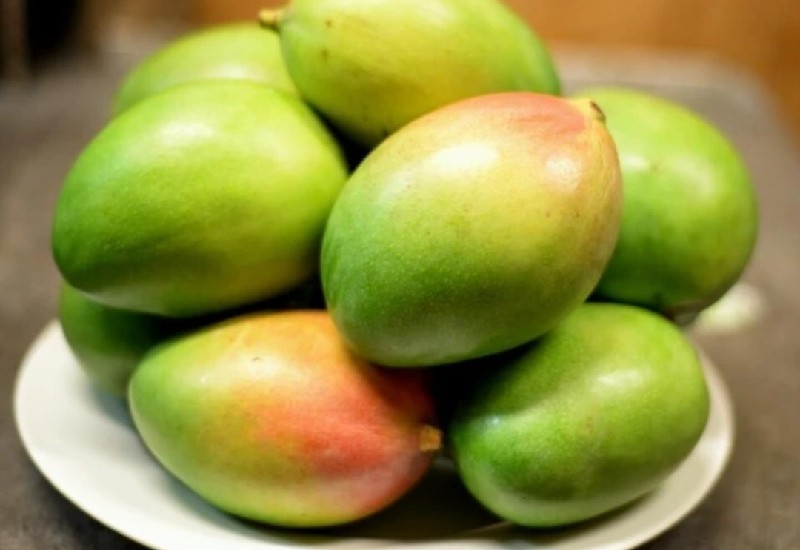 You are currently viewing 5 Health Benefits of Mango you need to know