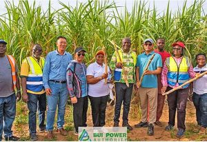 Read more about the article Bui Sugar Factory to start production