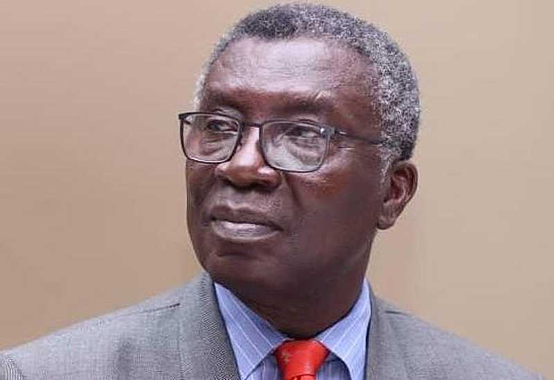 Read more about the article Prof. Frimpong-Boateng indicts NPP officials, others in galamsey report