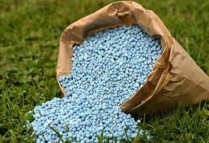 Read more about the article There will be no shortage of fertilizers this farming season – Yara Ghana