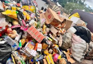 Read more about the article FDA destroys GHC200,000 worth of unhealthy products