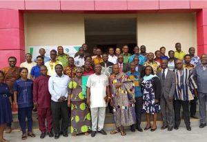 Read more about the article Ghana urged to prepare responses to new cassava pests infestation