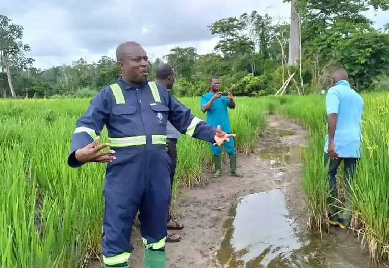 You are currently viewing DCE commends rice farmers for supporting 1D1F factory