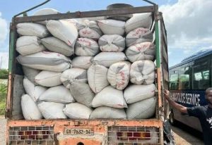 Read more about the article Cocoa from Eastern Zone drops by 80% due to smuggling – Agric Minister