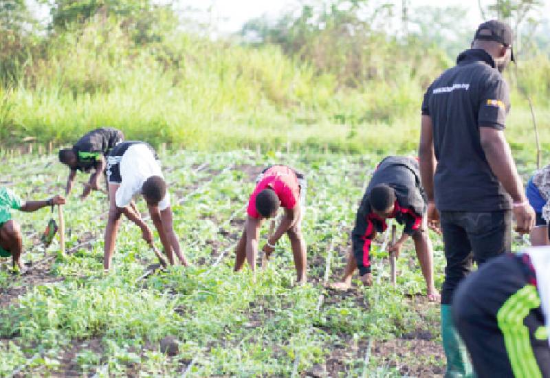 You are currently viewing Poor roads in Ashanti Region making farming less appealing to the youth