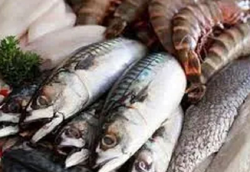 You are currently viewing Be cautious of seafood – pregnant women told