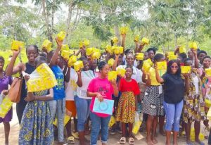 Read more about the article Two NGOs embark on menstrual hygiene awareness in Keta