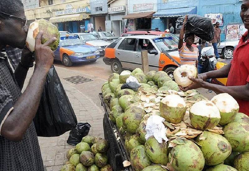 You are currently viewing Environmental Health officer calls for screening of Coconut sellers