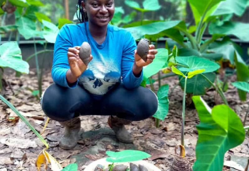 Read more about the article Young Ghanaian farmer takes it slow