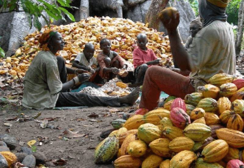 You are currently viewing Ghana-Cote d’Ivoire establish CIGCI secretariat in Accra to boost joint cocoa sector growth initiative