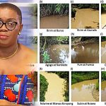 NPP’s Ellen Ama Daaku claims rivers are just fine: Has she looked beyond her TV screen?